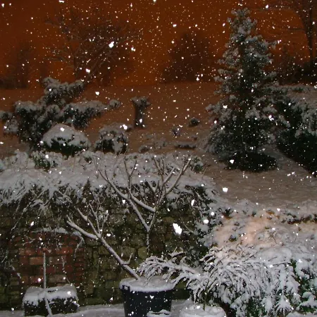 El Bellucu 乡村民宿 Onís