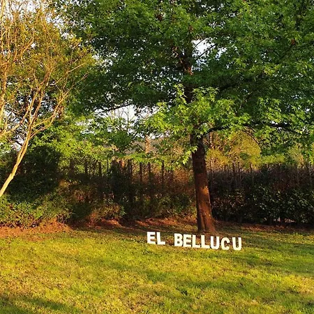 El Bellucu Country house Cangas de Onis