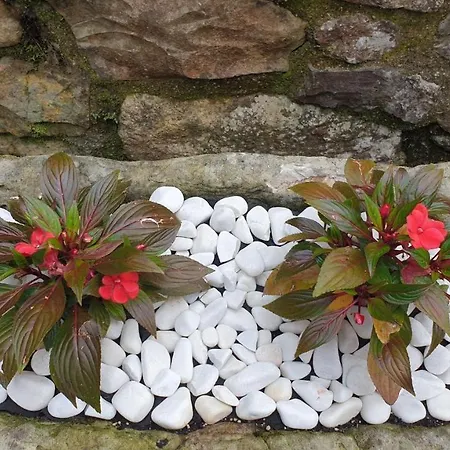 Country house El Bellucu *