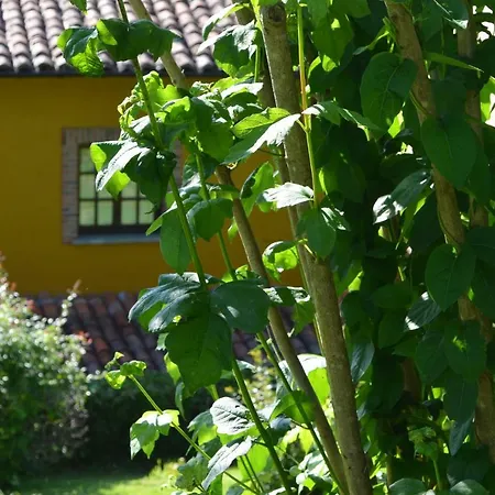 El Bellucu Country house