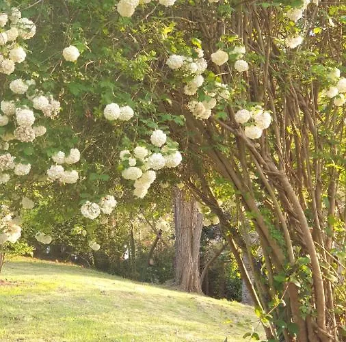 El Bellucu 乡村民宿