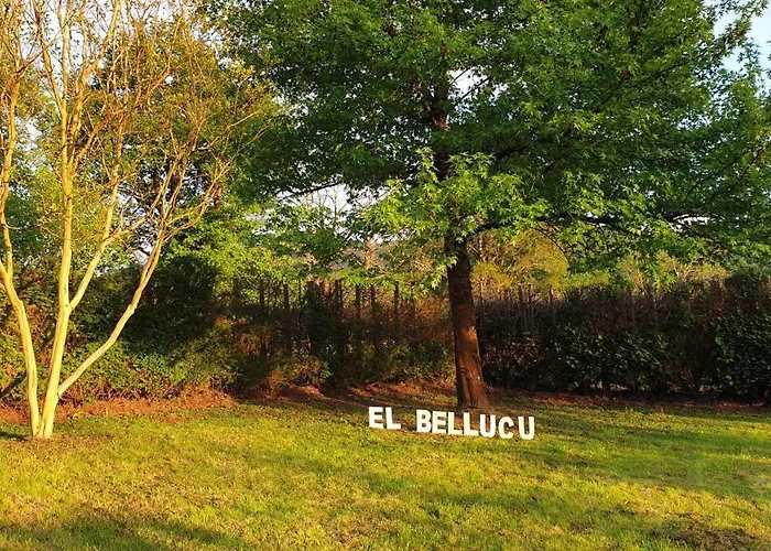 El Bellucu 乡村民宿 Onís