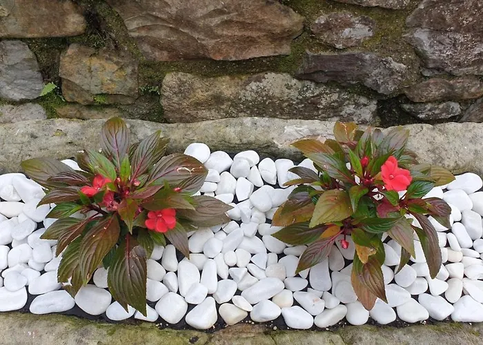 乡村民宿 El Bellucu *