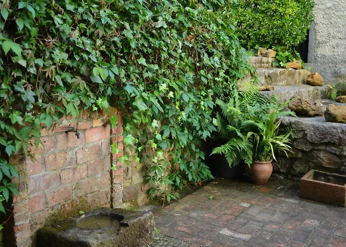 El Bellucu 乡村民宿 Onís