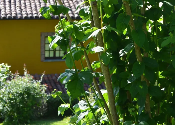 El Bellucu 乡村民宿